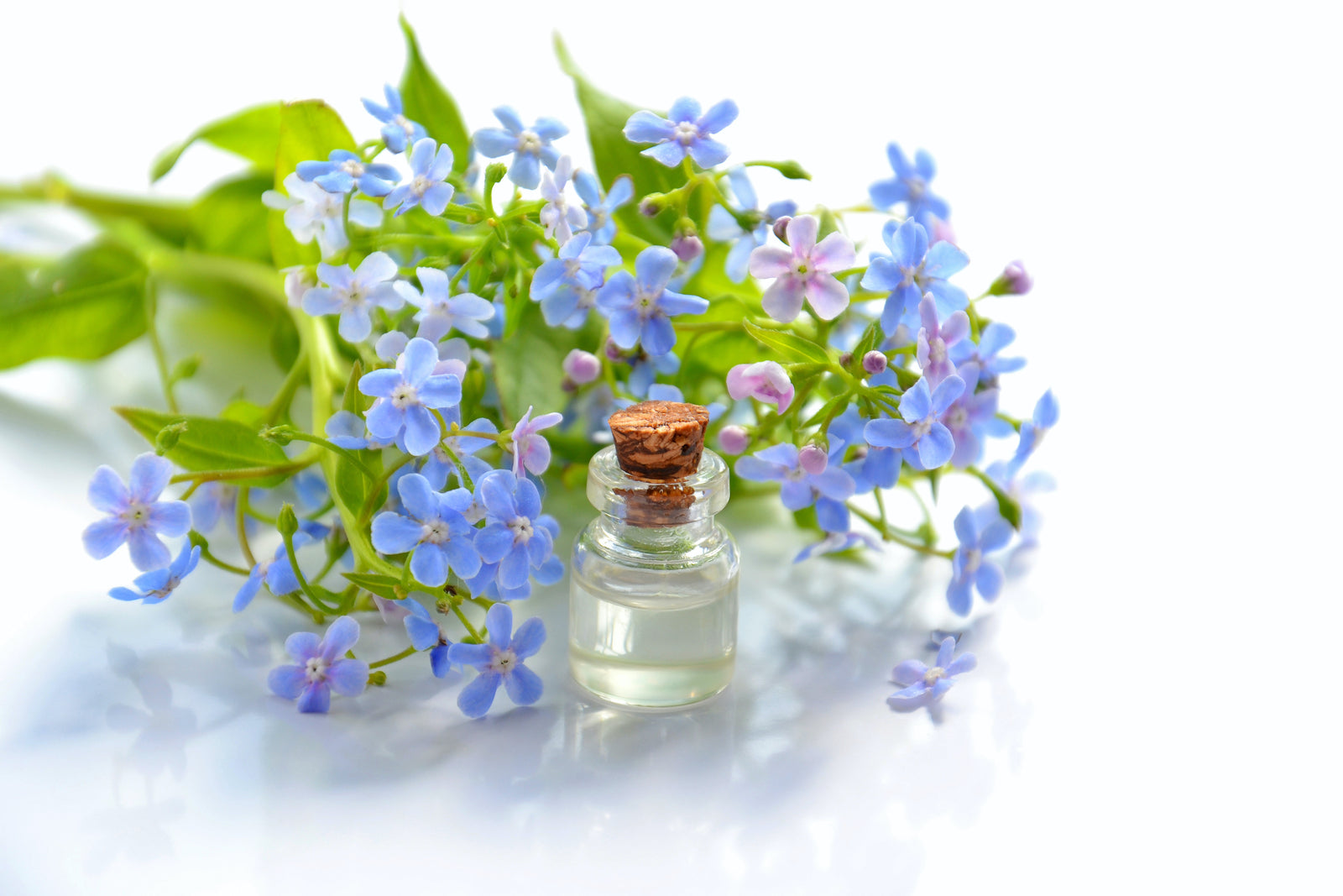 Benefits of Aromatherapy