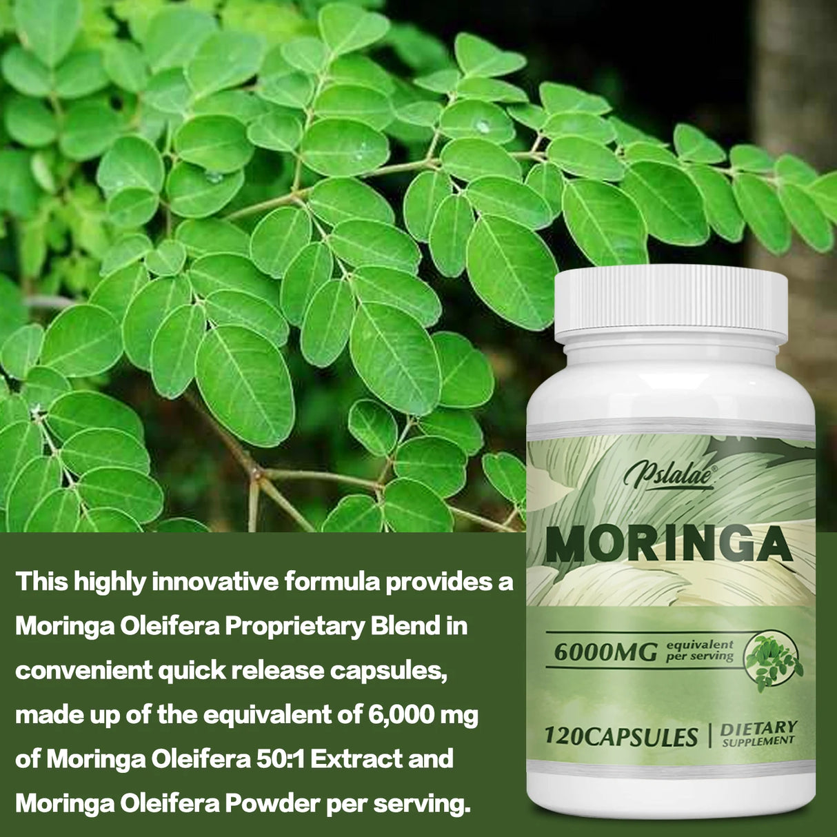 Bottle of Psalada Moringa capsules with green leaves in the background