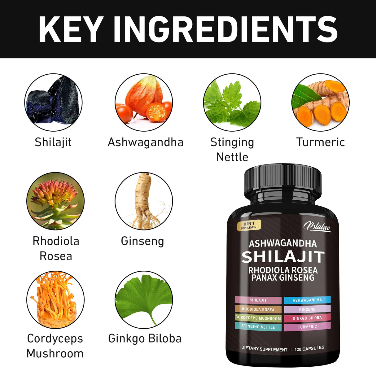 Dietary supplement bottle with key ingredients listed above it