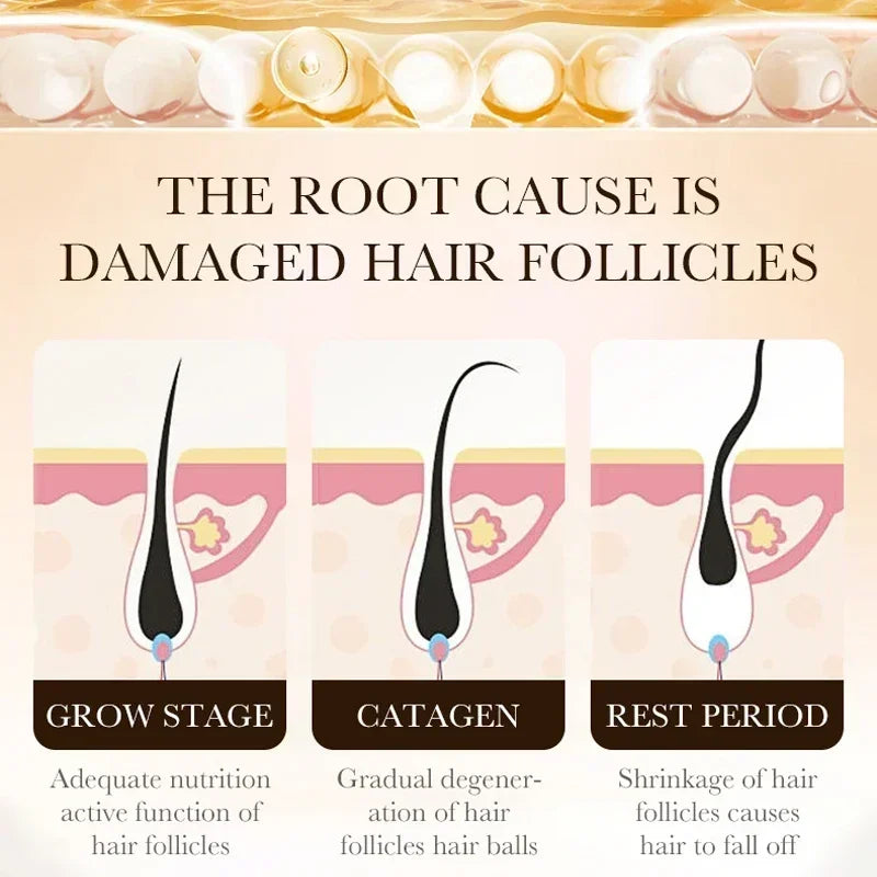 Diagram showing the stages of hair growth and damage with text about damaged hair follicles.
