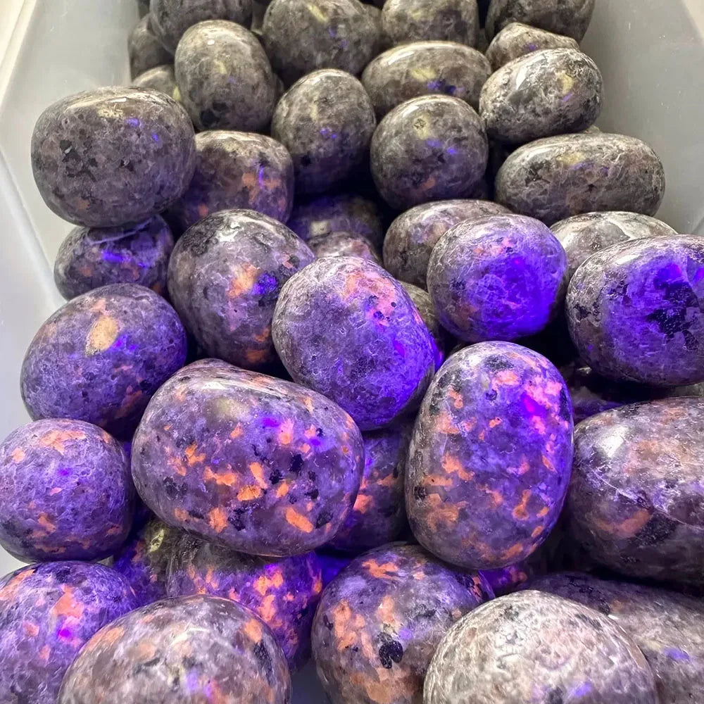 Purple stones with a metallic sheen in a white container