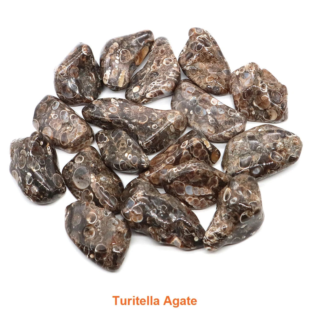 Turritella Agate stones on a white background