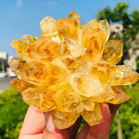 Hand holding a large yellow crystal cluster with a blurred outdoor background