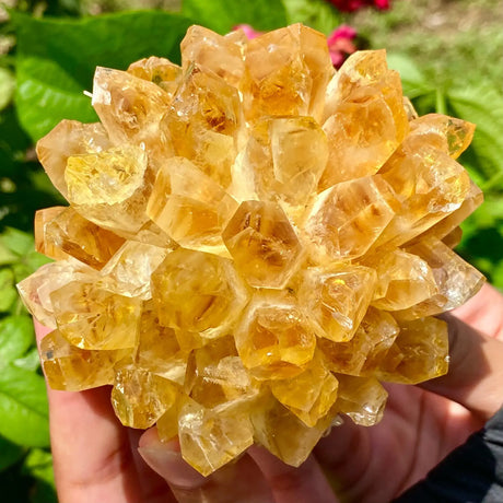 Hand holding a large crystal cluster with a natural outdoor background