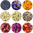 Nine circular images of various dried flowers and herbs on a white background