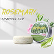 Rosemary shampoo bar and packaging with greenery on a white background