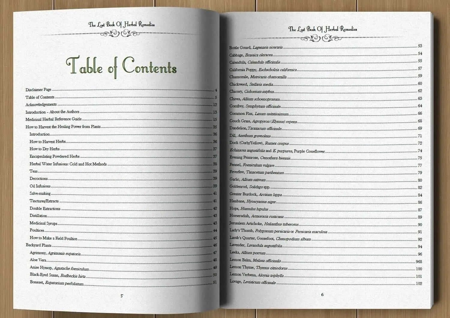 Open book showing a table of contents on a wooden surface