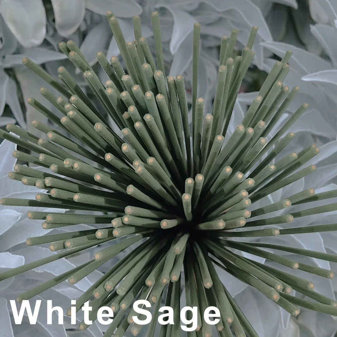 Close-up of white sage with a blurred background