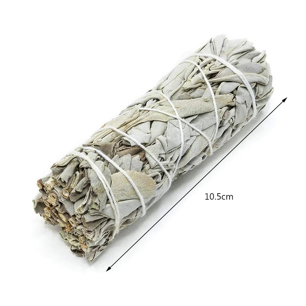 Bundled sage stick with white string on a white background