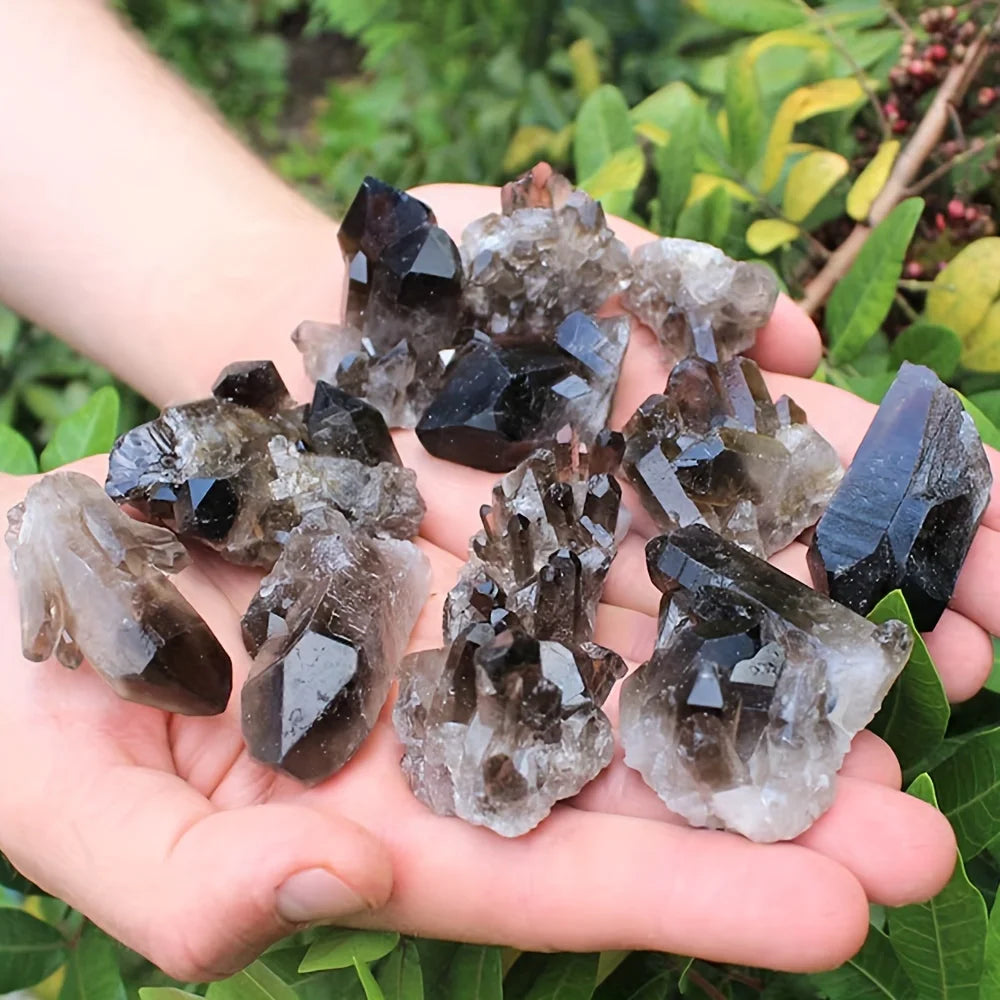 Hand holding a collection of crystal rocks with a natural green background