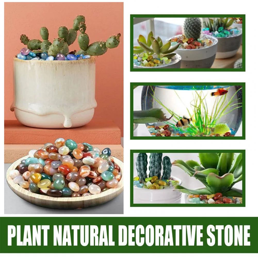 Decorative stones with plants and cacti in various settings on a peach background.