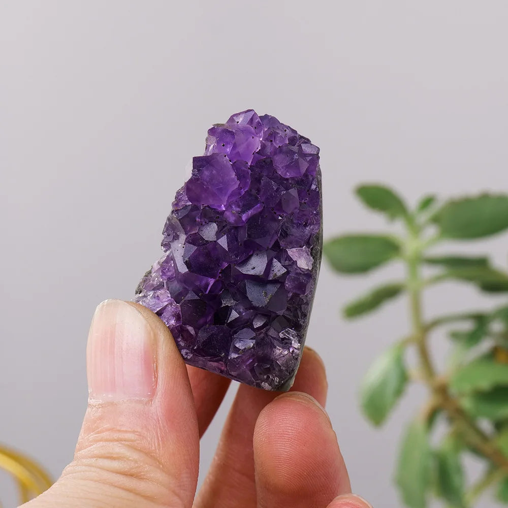 Hand holding a purple crystal cluster with a plant in the background