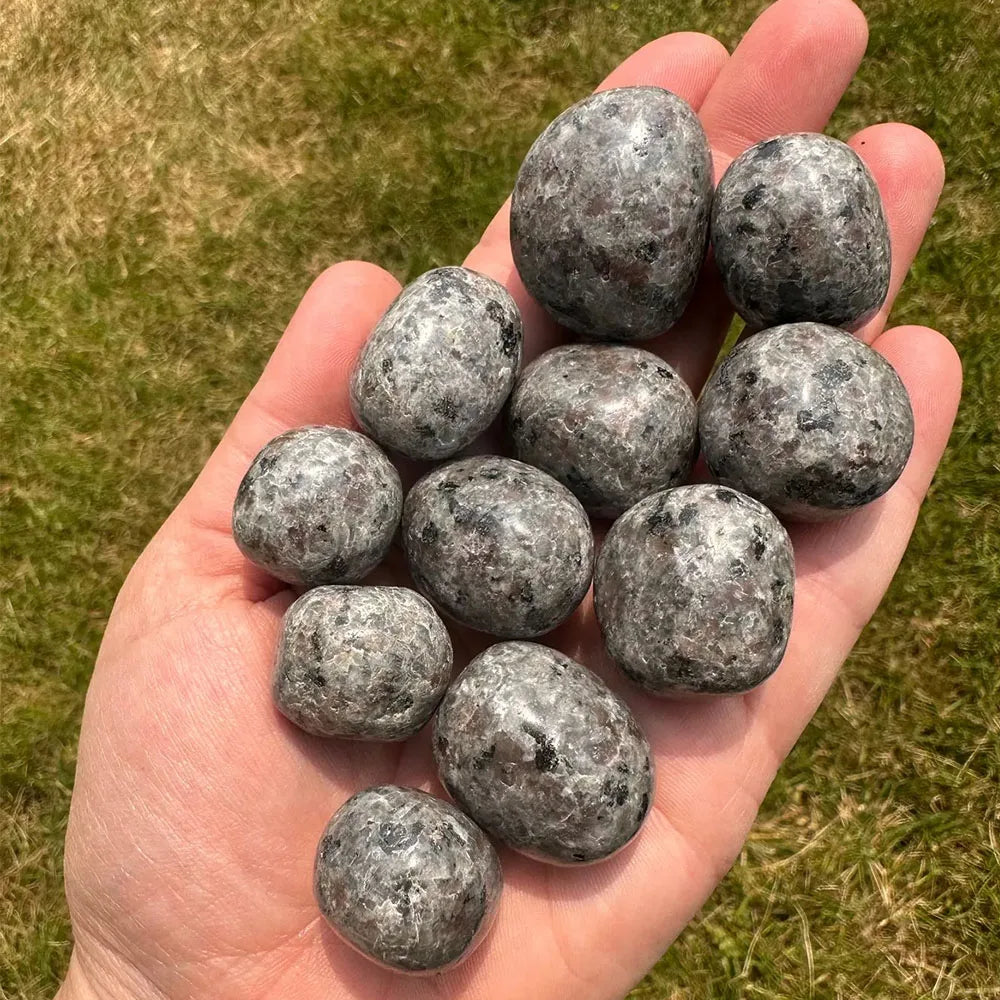 Hand holding a handful of gray stones against a grassy background