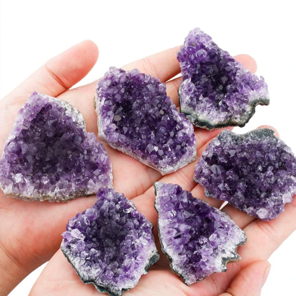 Hand holding purple crystal geodes against a white background