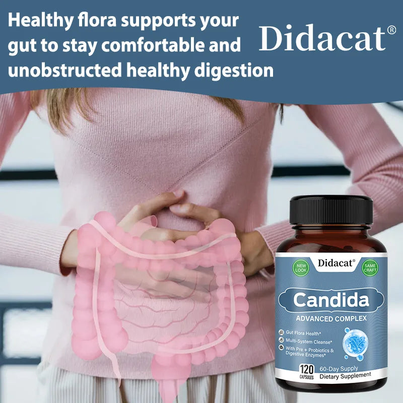 Person holding a pink diagram of the digestive system with Didacat Candida supplement bottle.