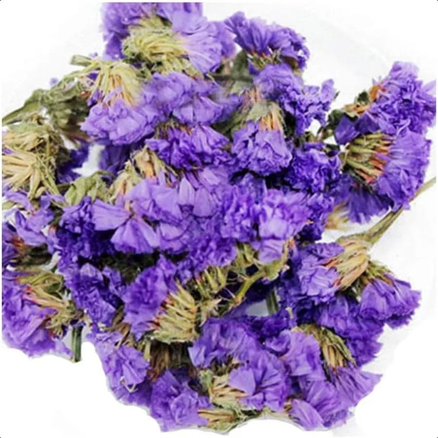 Bouquet of dried purple flowers on a white background
