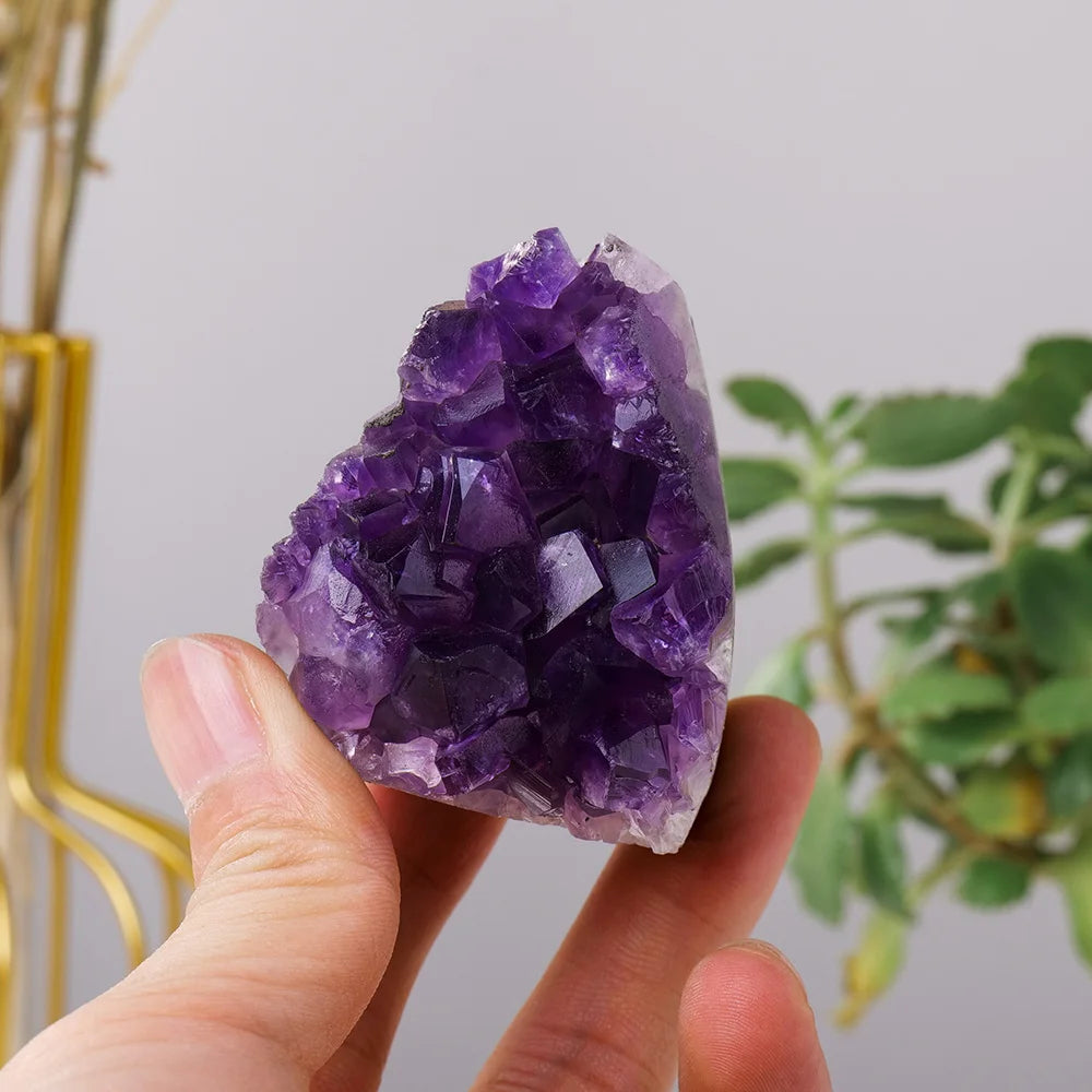 Hand holding a purple crystal with a plant in the background