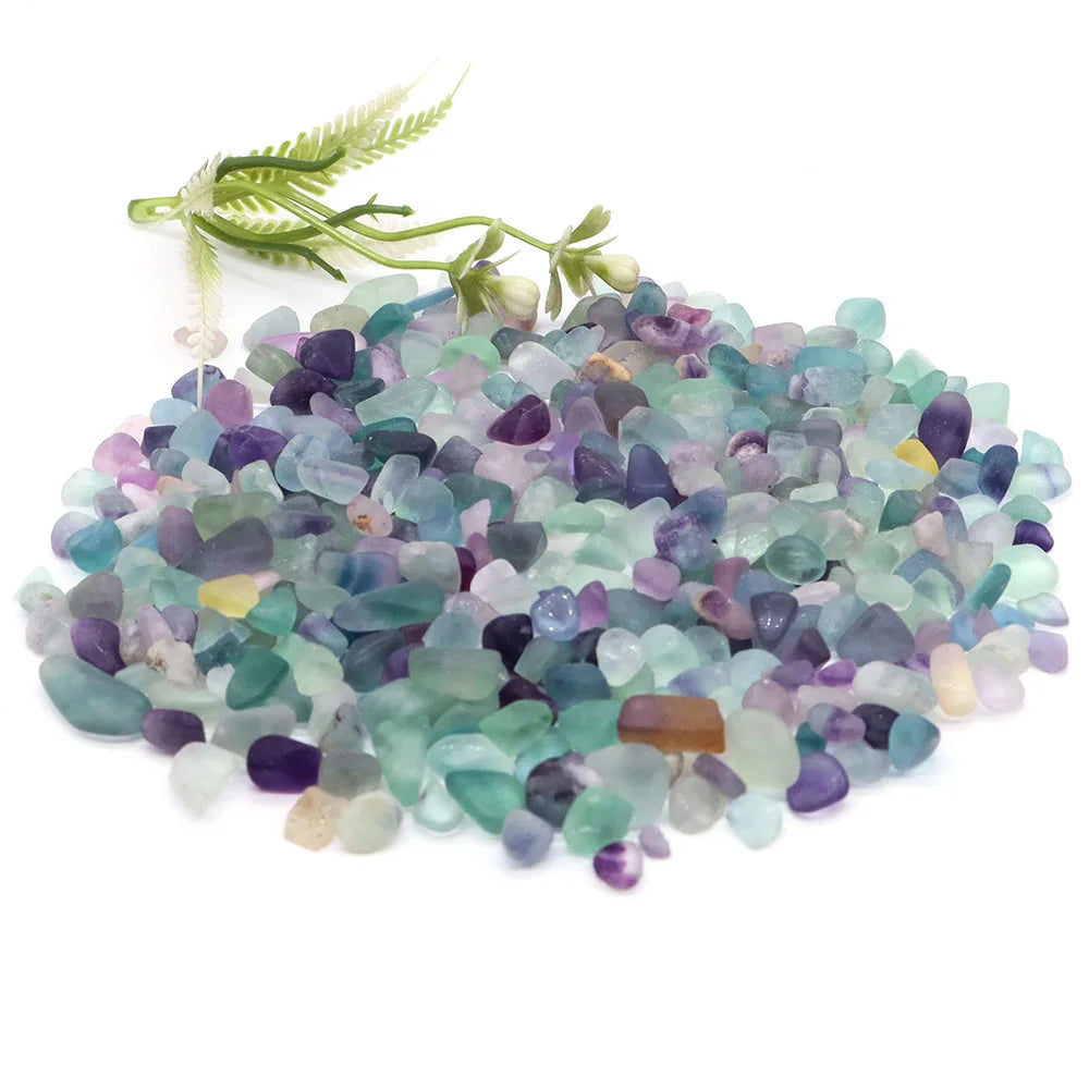 Multicolored pebbles with a small green plant on a white background