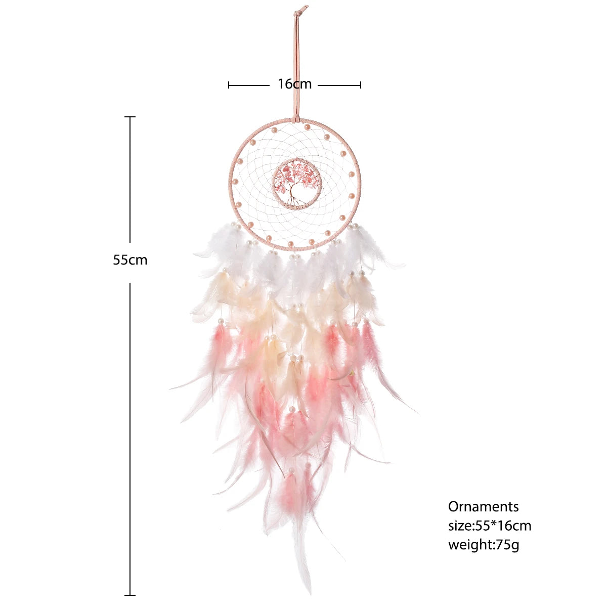 Dreamcatcher with feathers and measurements on a white background