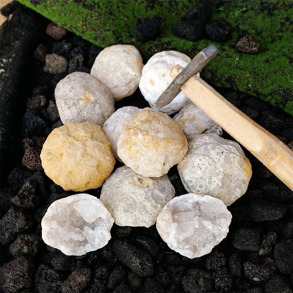 Raw Agate Geode Crystal Cluster Specimen