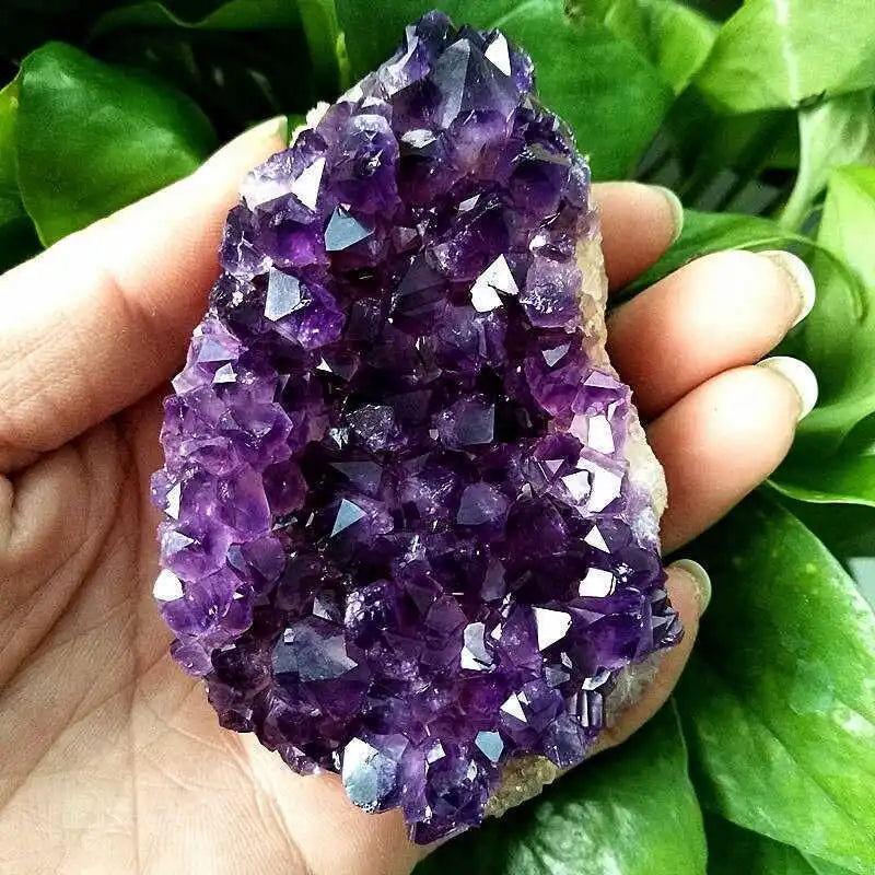 Amethyst crystal held in a hand with green leaves in the background