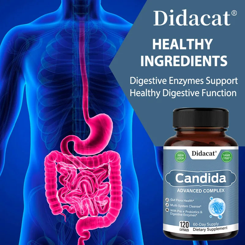 Supplement bottle labeled 'Candida' with a digital illustration of a human digestive system on a blue background.
