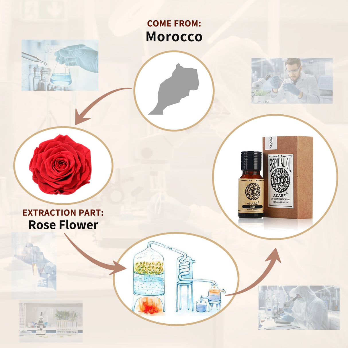 Diagram showing the origin of a product from Morocco, with a focus on rose flower extraction.