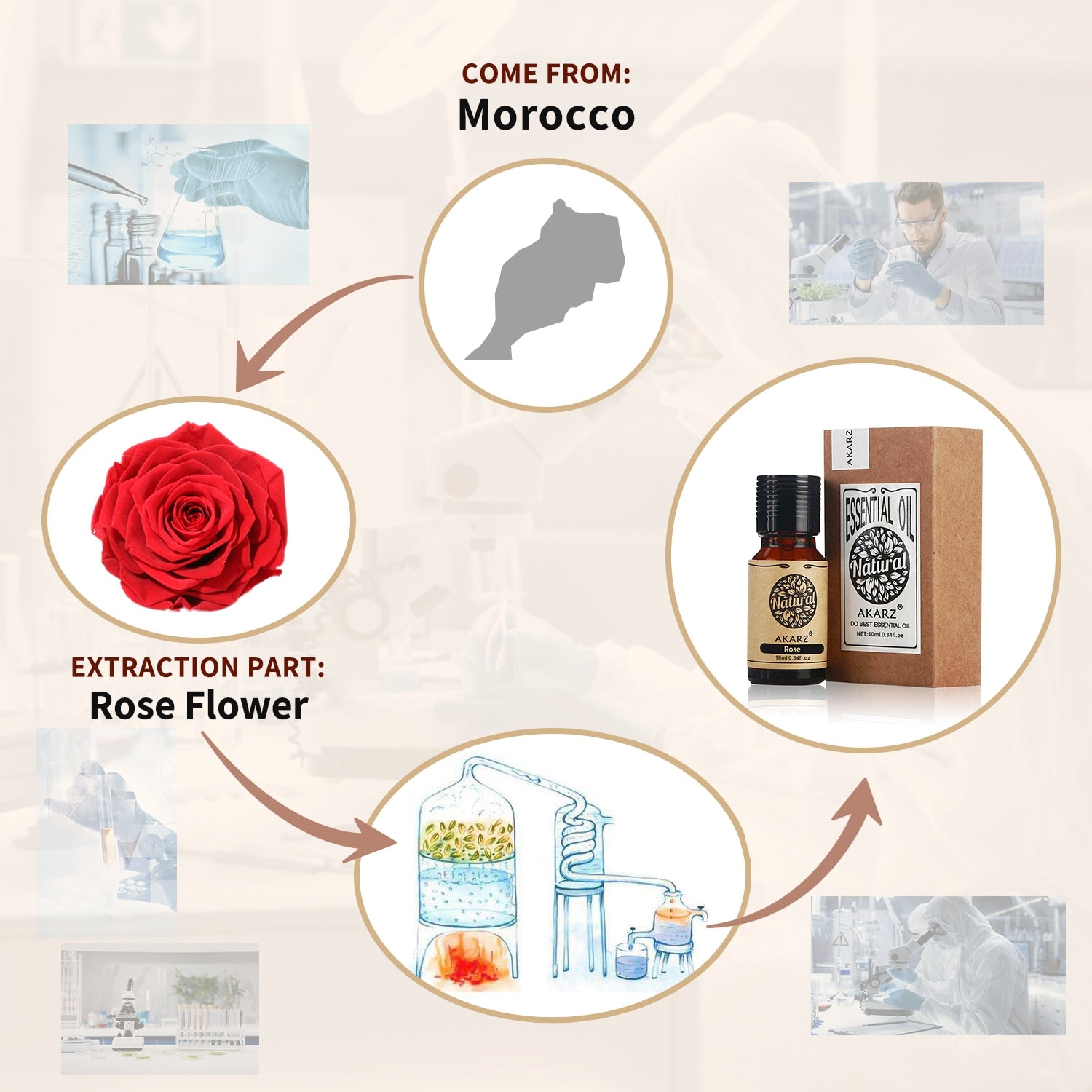 Diagram showing the origin of a product from Morocco, with a focus on rose flower extraction.