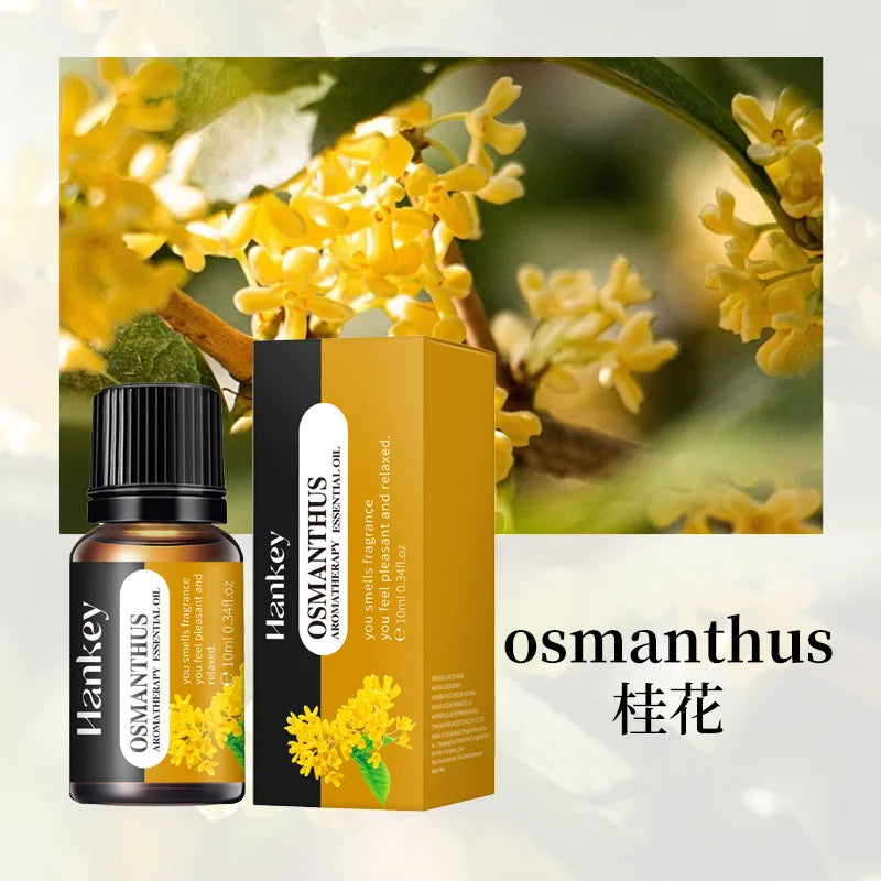 Car & Home Essential Oil Air Freshener – Osmanthus