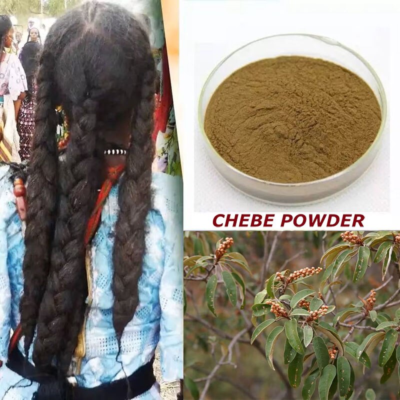 Collage of a person with braided hair, chebe powder in a container, and chebe plant leaves.
