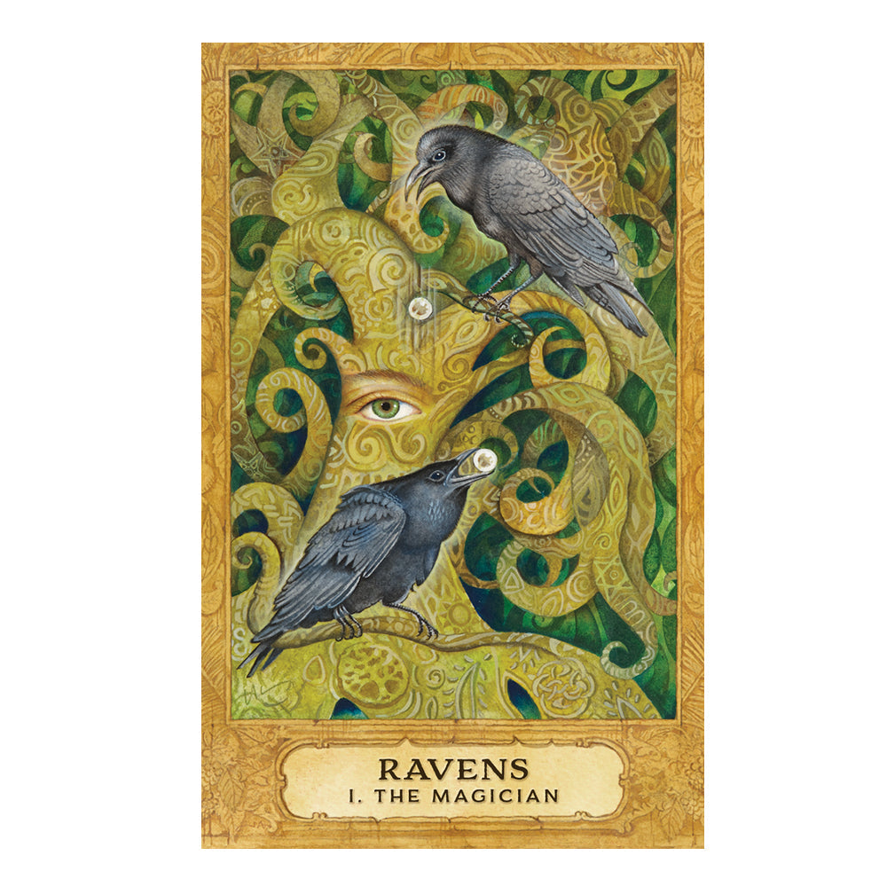 Chrysalis Tarot Deck, sample cards F