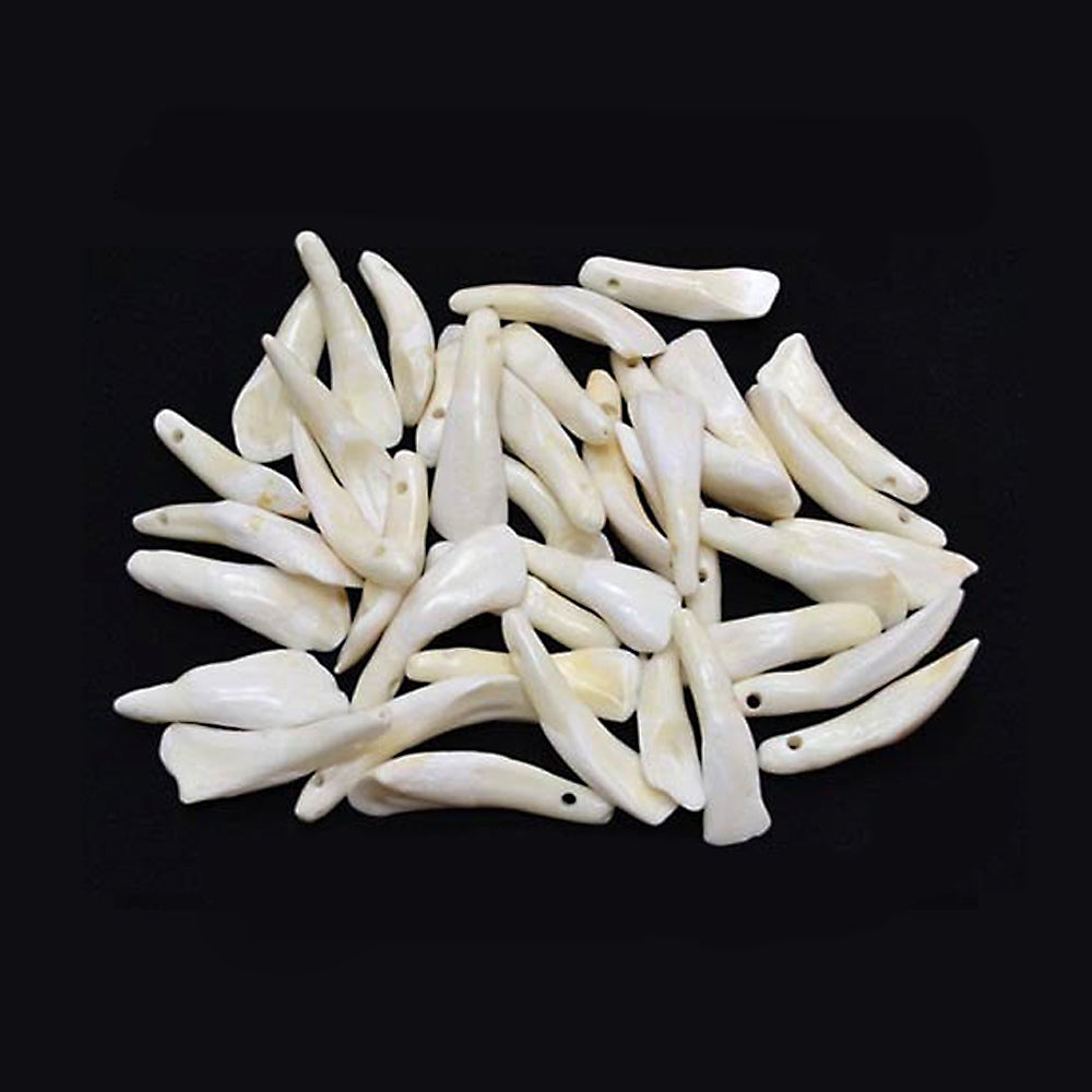 Water buffalo teeth natural animal bone pieces for crafting, jewelry making, and decorative use.