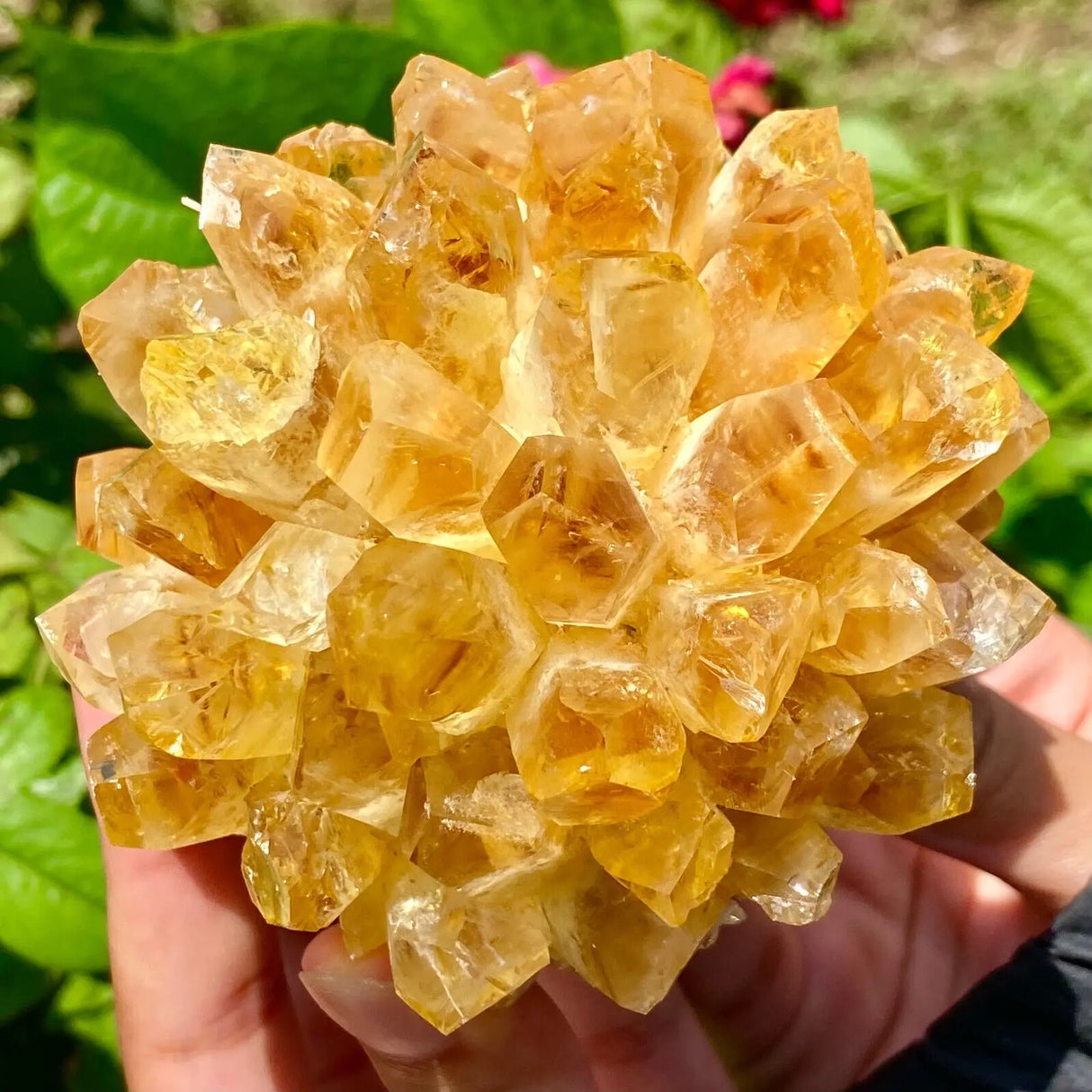 Yellow Phantom Quartz Crystal Cluster for meditation, home décor, and crystal collecting.