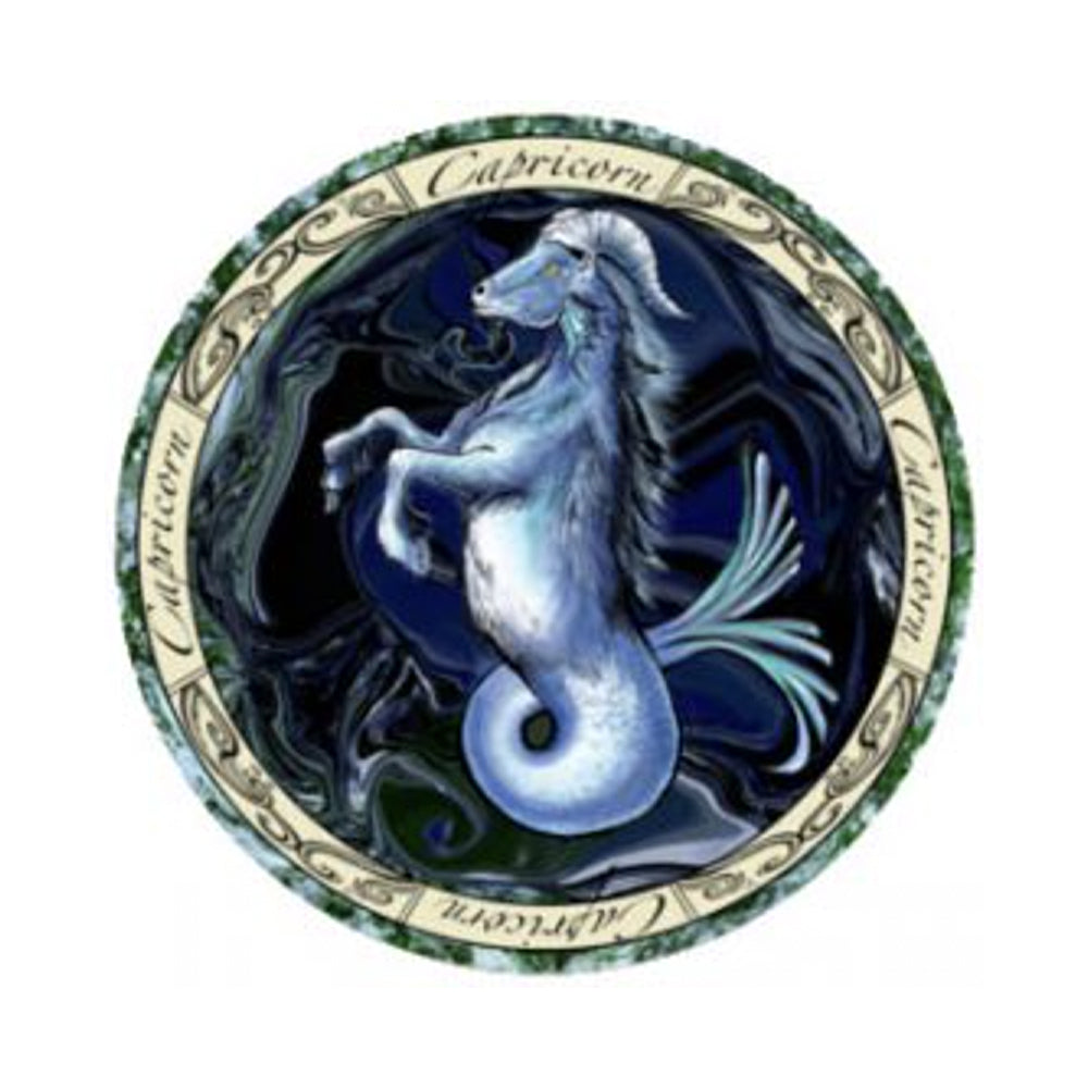 Zodiac Capricorn sticker, 3 inch decal for laptops, journals, and water bottles