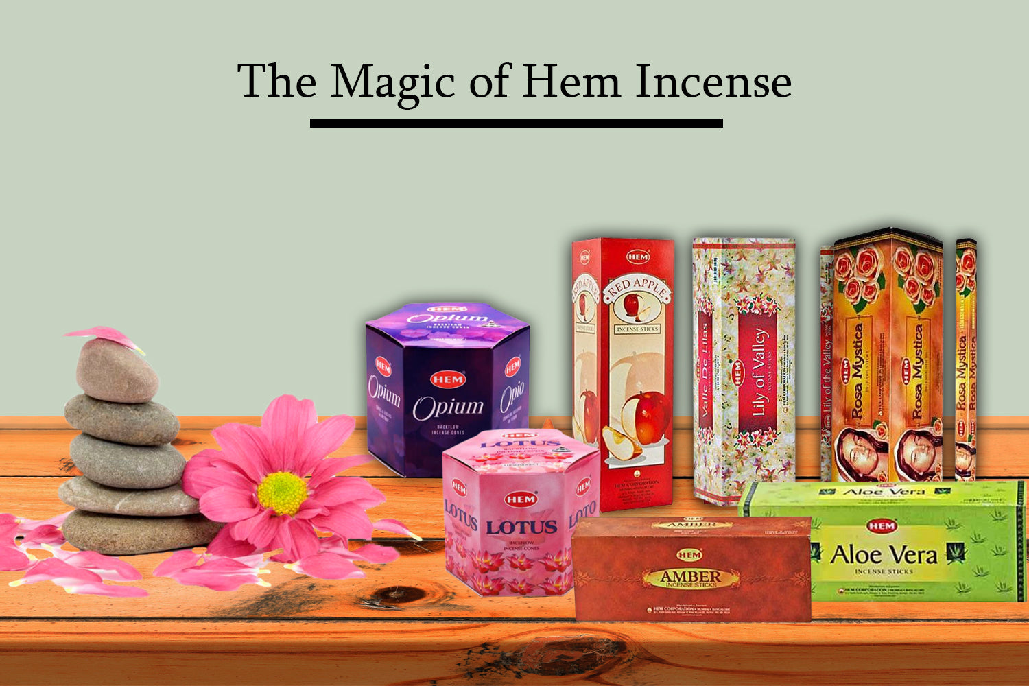 The Essence of Aroma