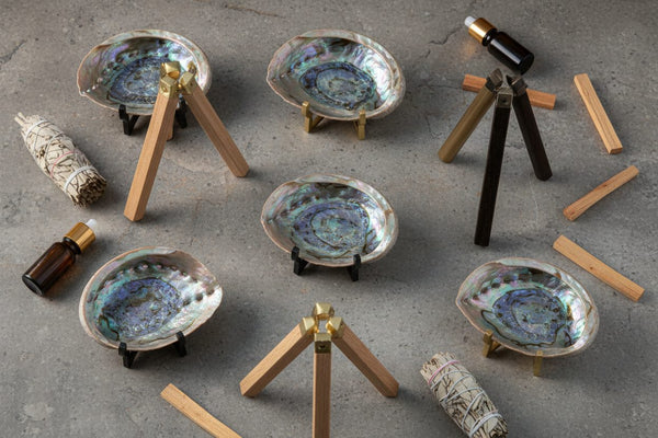 Abalone Shells and Tripod Holders