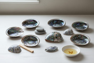 Abalone Shells collection banner featuring abalone shells and smudging tools, for smudging and ritual incense burning.