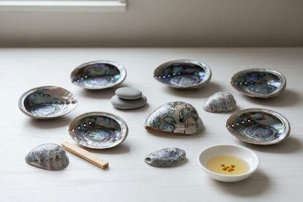 Abalone Shells