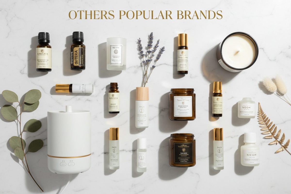 Others Popular Brands collection banner for Modern Aromatherapy's others popular brands product range.