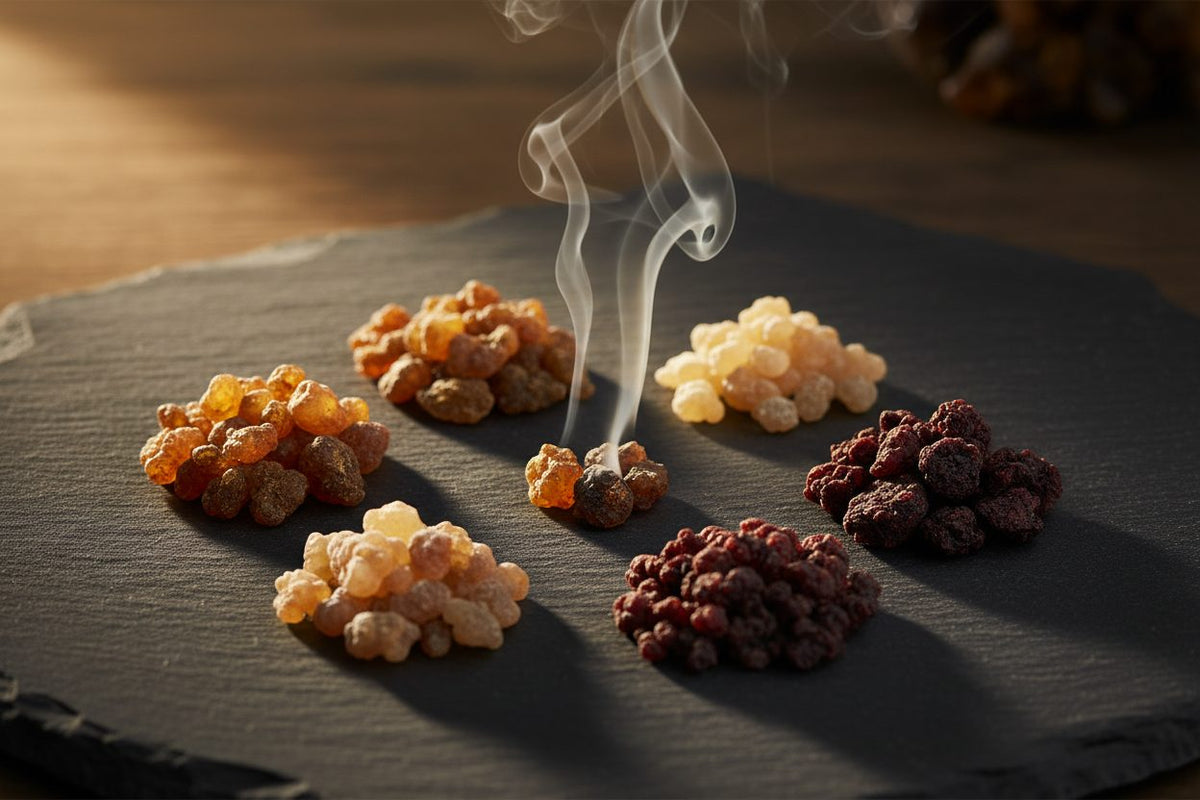 Resin Incense collection banner featuring incense sticks and cones with natural botanicals, for aromatherapy, ritual, and everyday home fragrance.