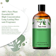 PHATOIL 100ml Spearmint oil bottle for humidifier use, aromatic home fragrance, and calming scent routines.