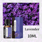 Car & Home Essential Oil Air Freshener 10ml fragrance oil for use in aroma diffusers, car vents, and home air freshening.
