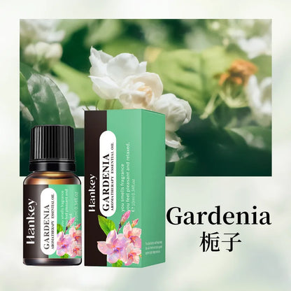 Car & Home Essential Oil Air Freshener 10ml fragrance oil for use in aroma diffusers, cars, and indoor air freshening.