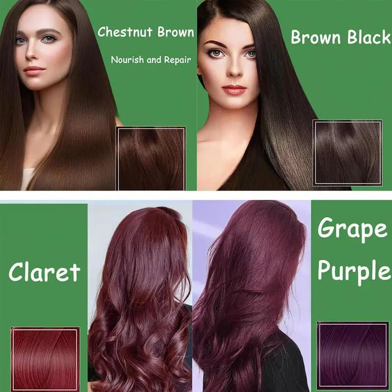 3-in-1 Herbal Hair Dye Shampoo color chart with Chestnut Brown, Brown Black, Claret, and Grape Purple options.