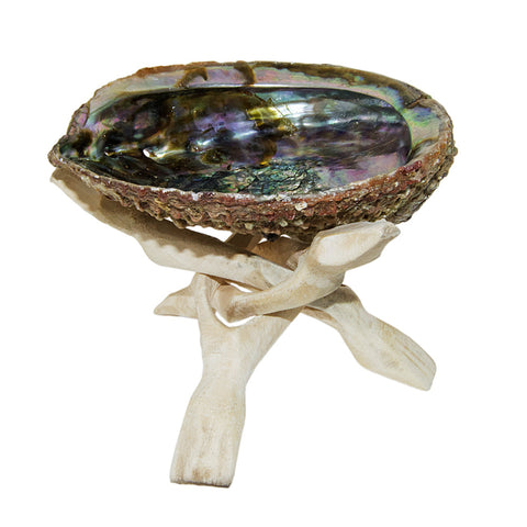 4" Abalone Shell & Wooden Tripod