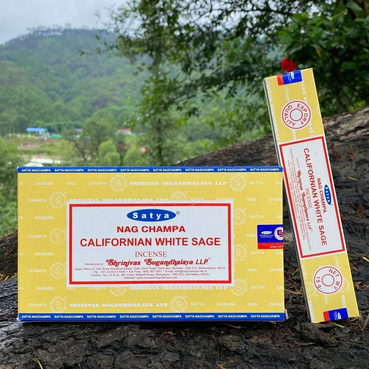 Satya Californian White Sage incense packaging on a natural background