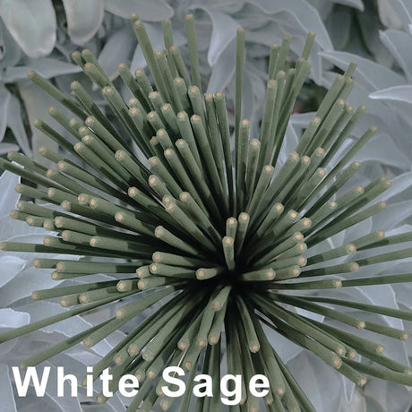 Close-up of white sage with a blurred background