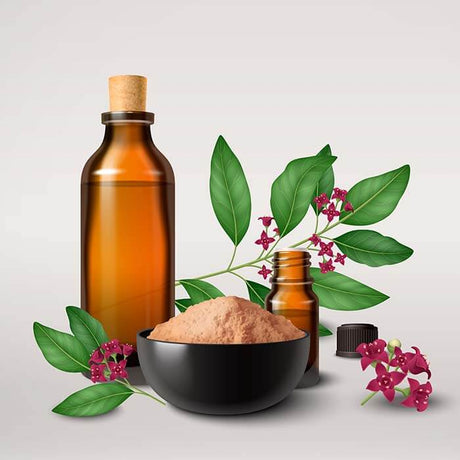 Essential Oil Collection