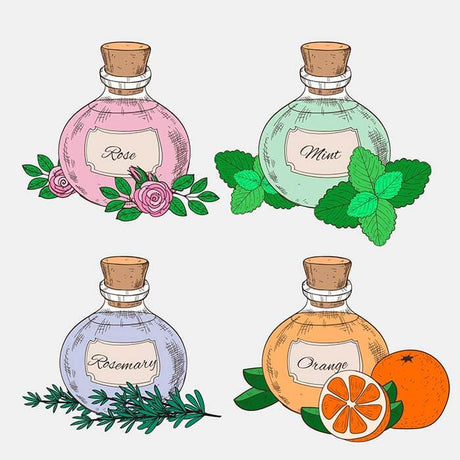 Fragrance Oil Collection