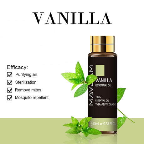 Bottle of vanilla essential oil with green leaves on a white background